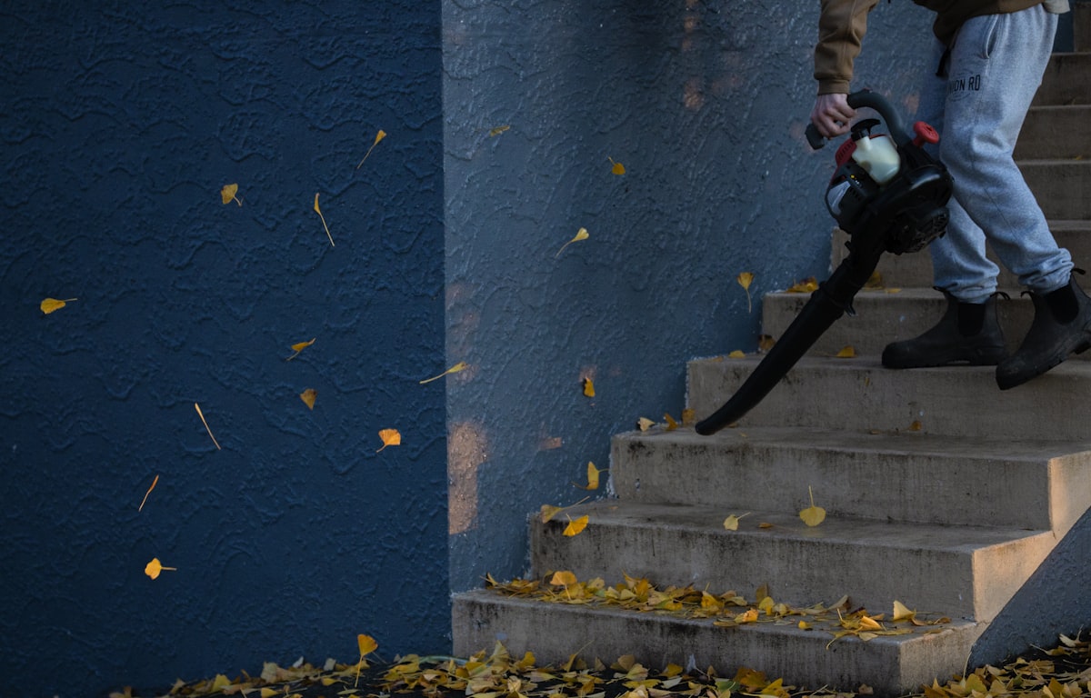 Результат химчистки 2